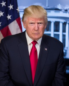 Portrait of President Donald Trump