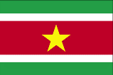 Country of Suriname Flag