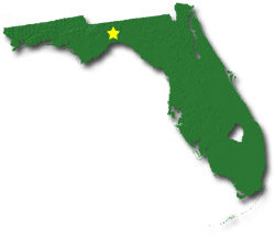 Florida State Map