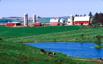 A farm in Iowa