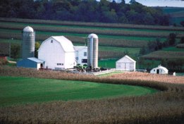A Wisconsin Farm