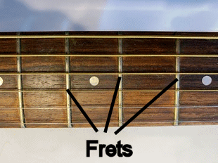 Frets of a guitar fingerboard