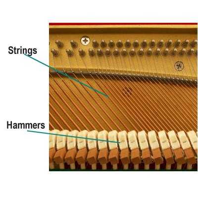 Piano strings and hammers