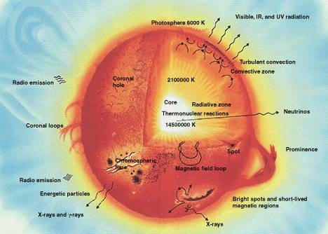 Cross Section of the Inside of the Sun