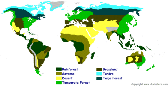 Map of the world biomes