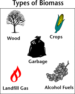 Biomass energy sources and fuels