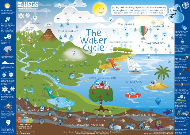 Picture of the water cycle
